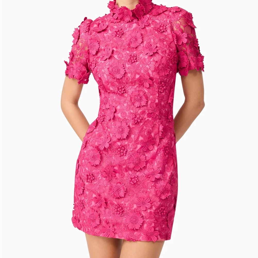 Elliatt Claudia 3-D Floral Pink Dress